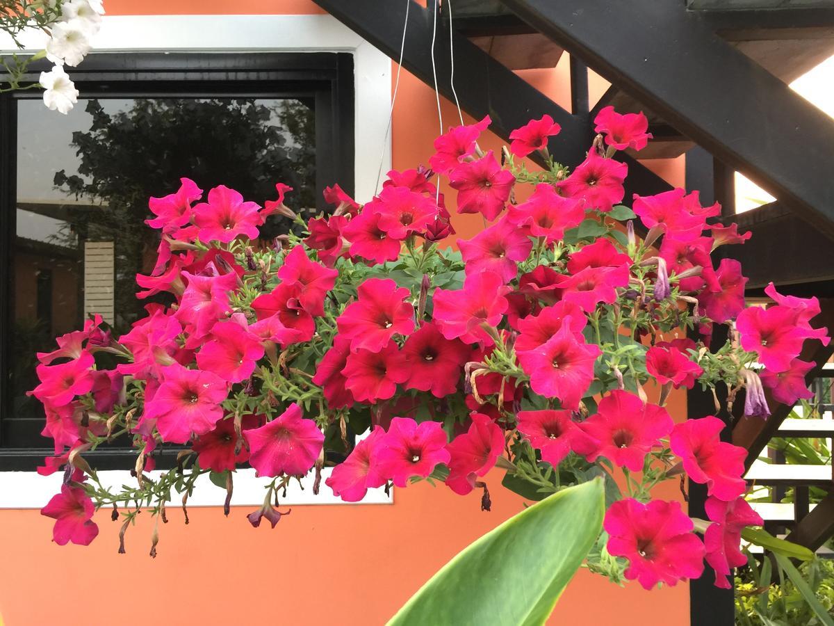 Ban Sumalai Hotel Rayong Luaran gambar